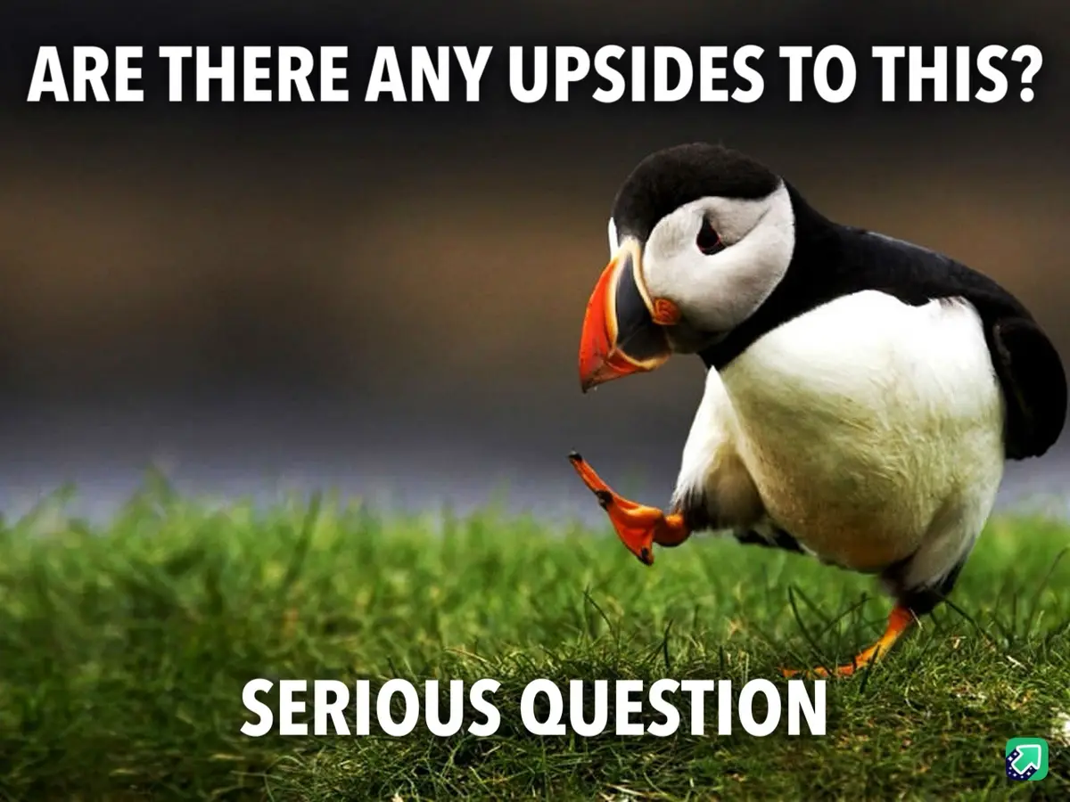 A close-up photo of a puffin standing on green grass, looking down with a skeptical expression. The image has white text…