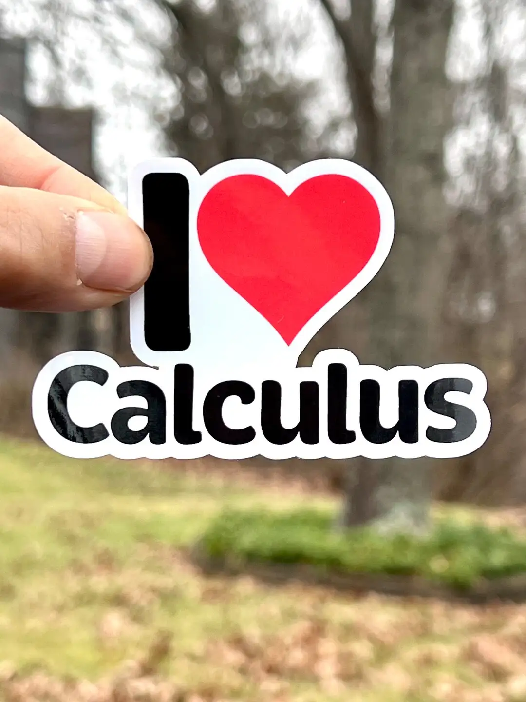 A hand holds a white sticker with black text and a red heart symbol, reading 'I ❤️ Calculus' against a blurred outdoor…
