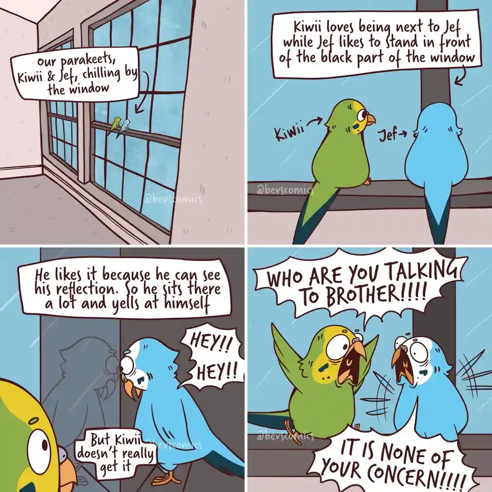 A four-panel comic shows two parakeets, Kiwii (green) and Jef (blue), by a window. Jef stands in front of a dark window…