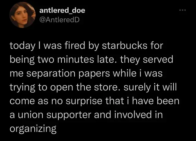 A screenshot of a tweet from user @AntleredD showing a woman's profile picture and a text post about being fired by…