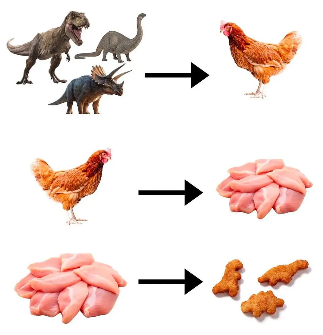 The image displays a three-step visual progression: first, three dinosaurs (T-Rex, brontosaurus, triceratops) point to a…