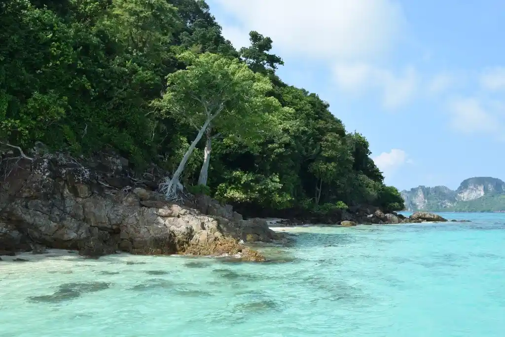 A serene tropical beach scene with turquoise water, rocky shores, and lush green trees under a blue sky. Overlaid text reads…