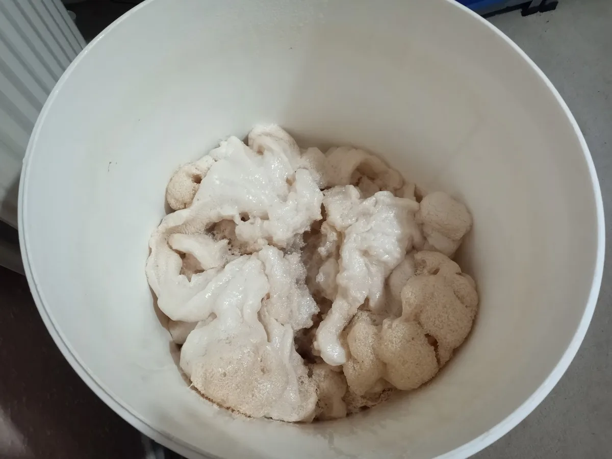 A white bucket contains a lumpy, foamy, brain-like substance that resembles a brain with bubbles. The overlaid text reads…