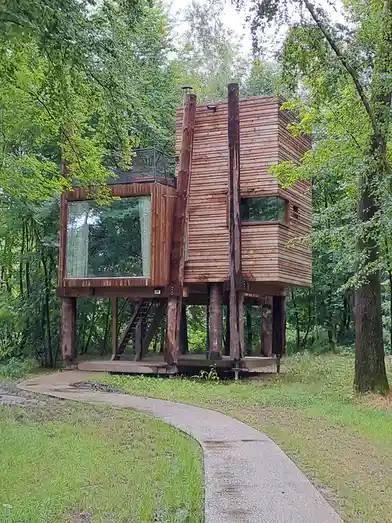 A modern wooden treehouse structure elevated on thick logs, surrounded by lush green trees, with a curved concrete path…