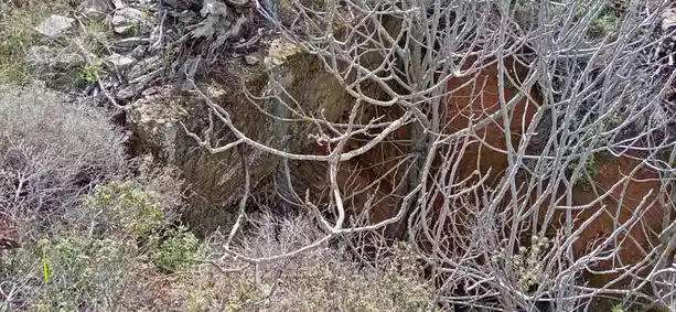 Hidden Gem: A Mysterious Stone Bridge Off the Beaten Path