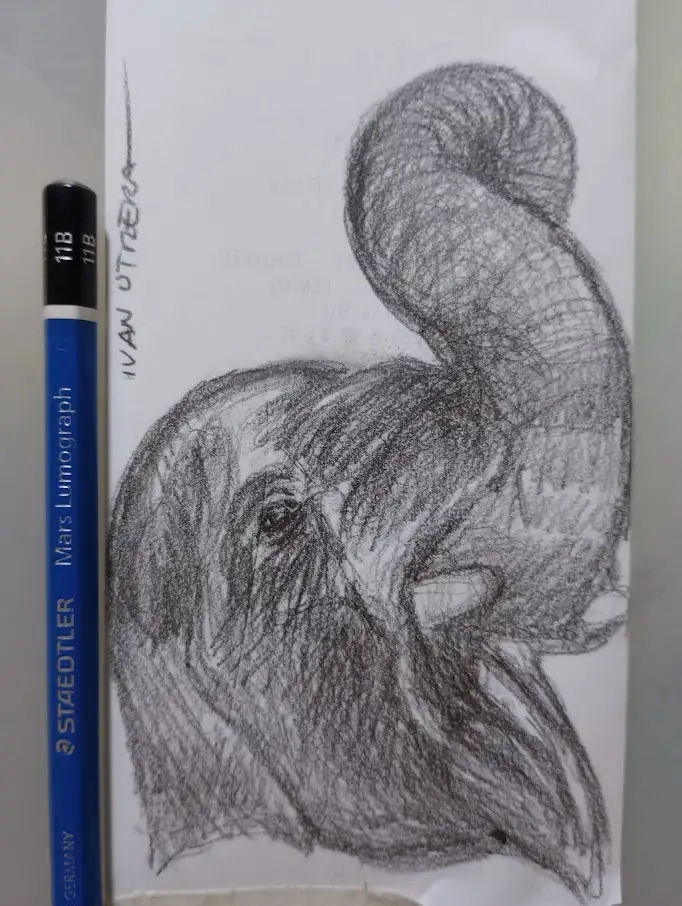 A pencil sketch of an elephant's head and trunk, drawn with heavy shading and visible pencil lines, is shown next to a blue…