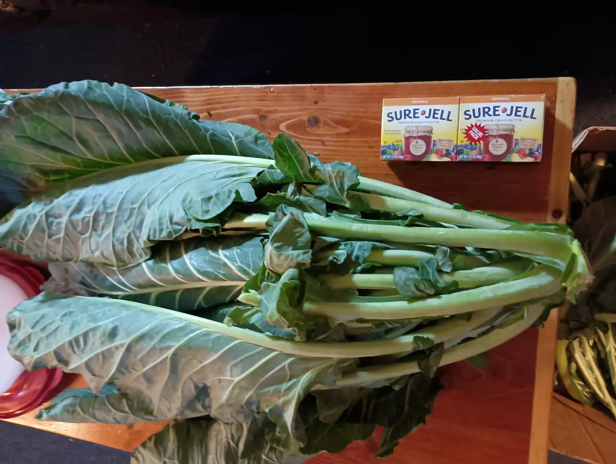 A large pile of fresh green cabbage leaves sits on a wooden surface, with two boxes of Sure Jell fruit pectin placed behind…