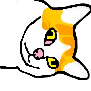 The Feline Chronicles: A Cat's Life