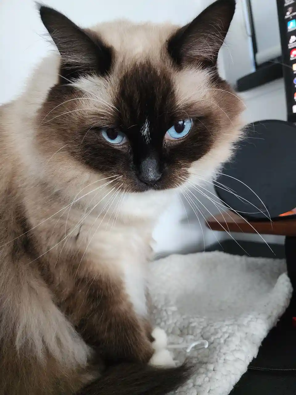 Loki reassures us: better days are ahead for those feeling down.