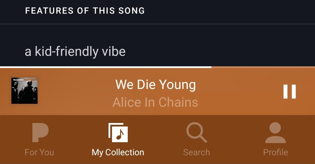 A screenshot of a music app interface showing the song 'We Die Young' by Alice In Chains, with the section 'FEATURES OF THIS…