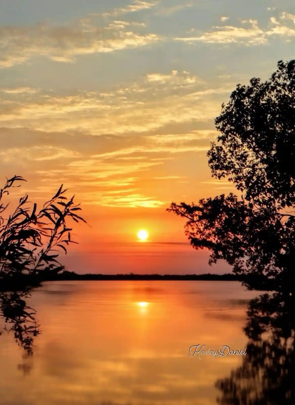 A serene sunset over a calm body of water, framed by silhouettes of trees and reeds on either side, with the sun low on the…