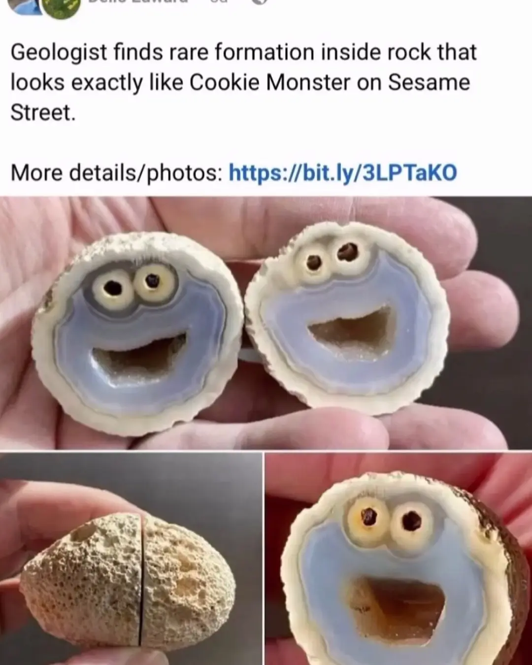 A split rock reveals a natural geode formation with a face resembling Cookie Monster from Sesame Street, featuring two round…