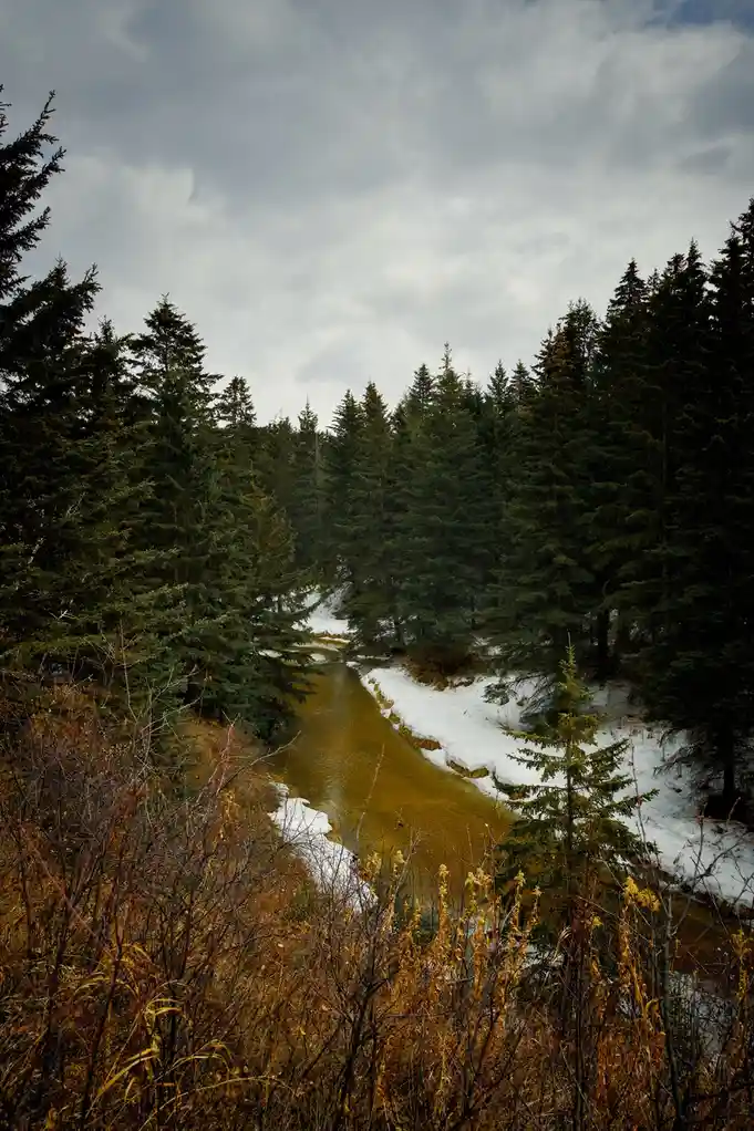 A scenic photo of a winding river flowing through a snowy forest with evergreen trees under an overcast sky. The river water…