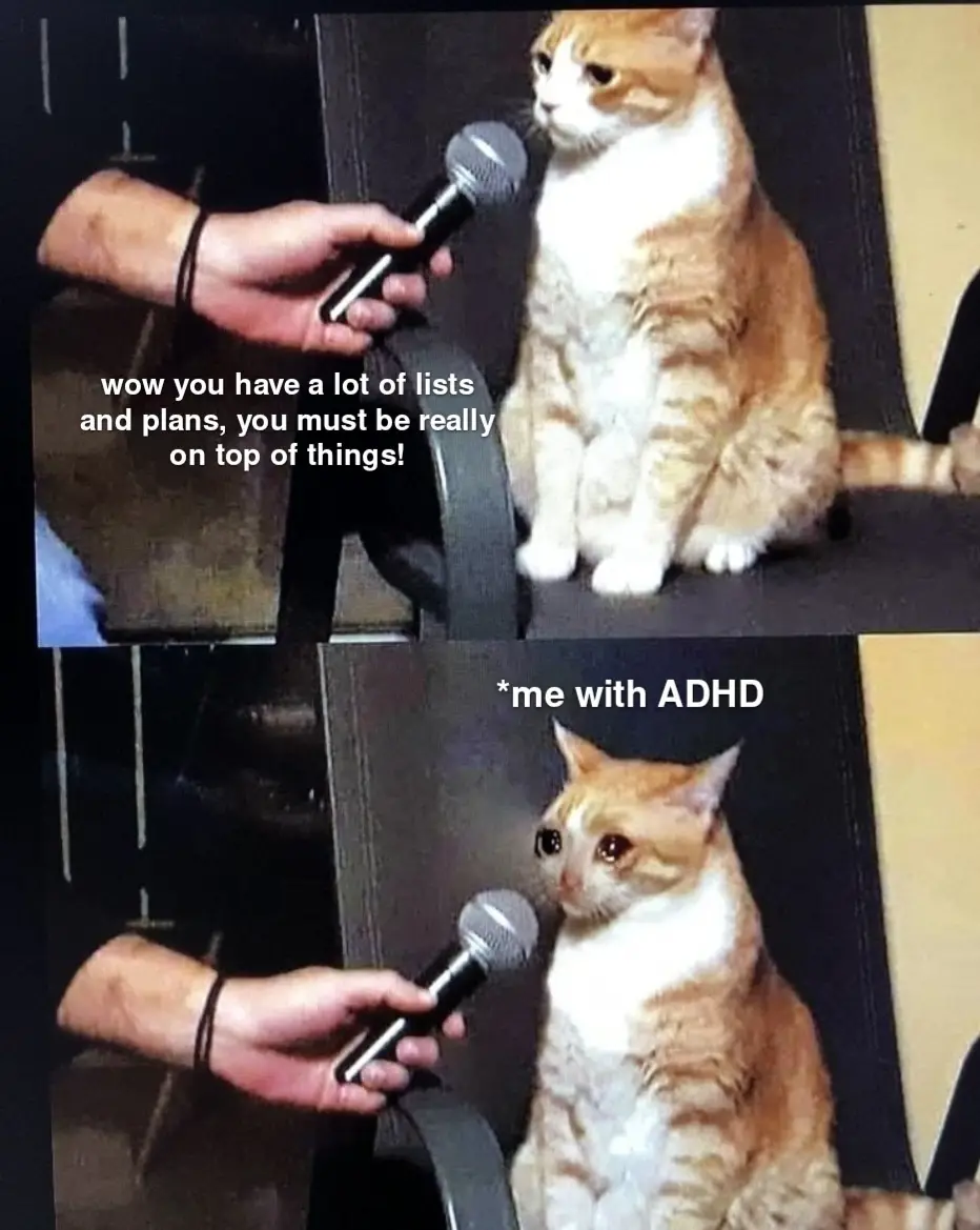 A two-panel meme featuring an orange and white cat being interviewed with a microphone. In the top panel, the cat looks calm…