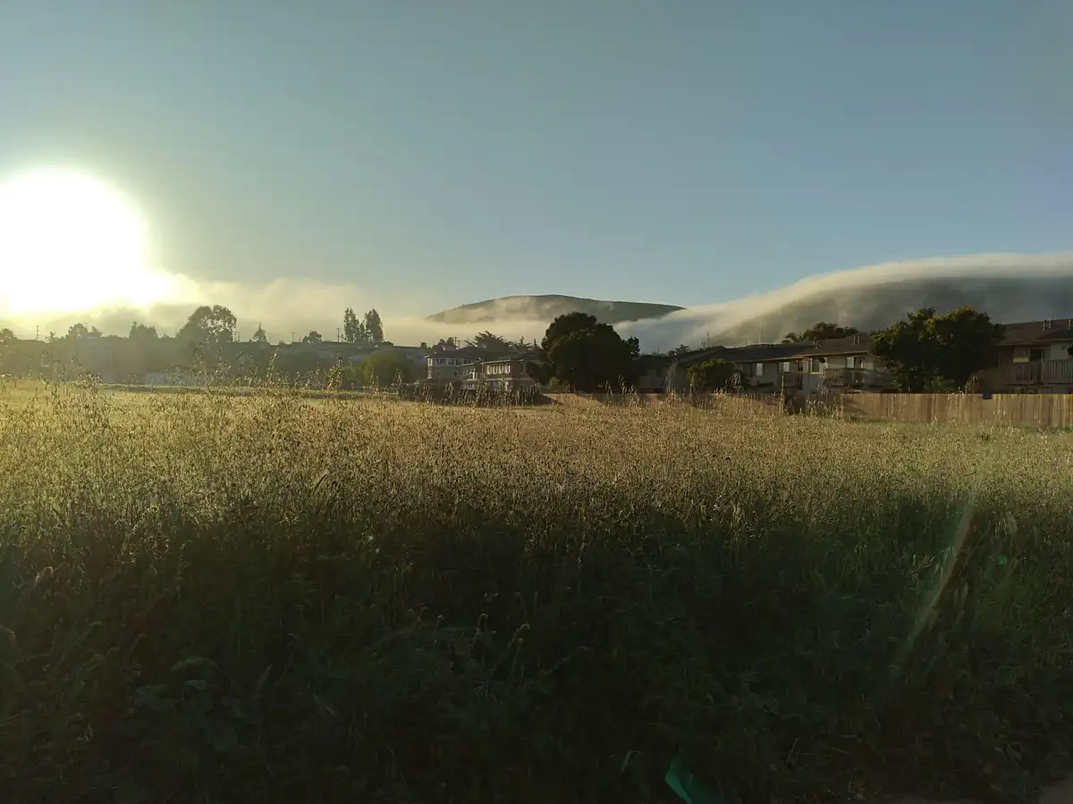 A serene landscape photo shows a bright sun rising over a field of tall grass, with residential houses and trees in the…