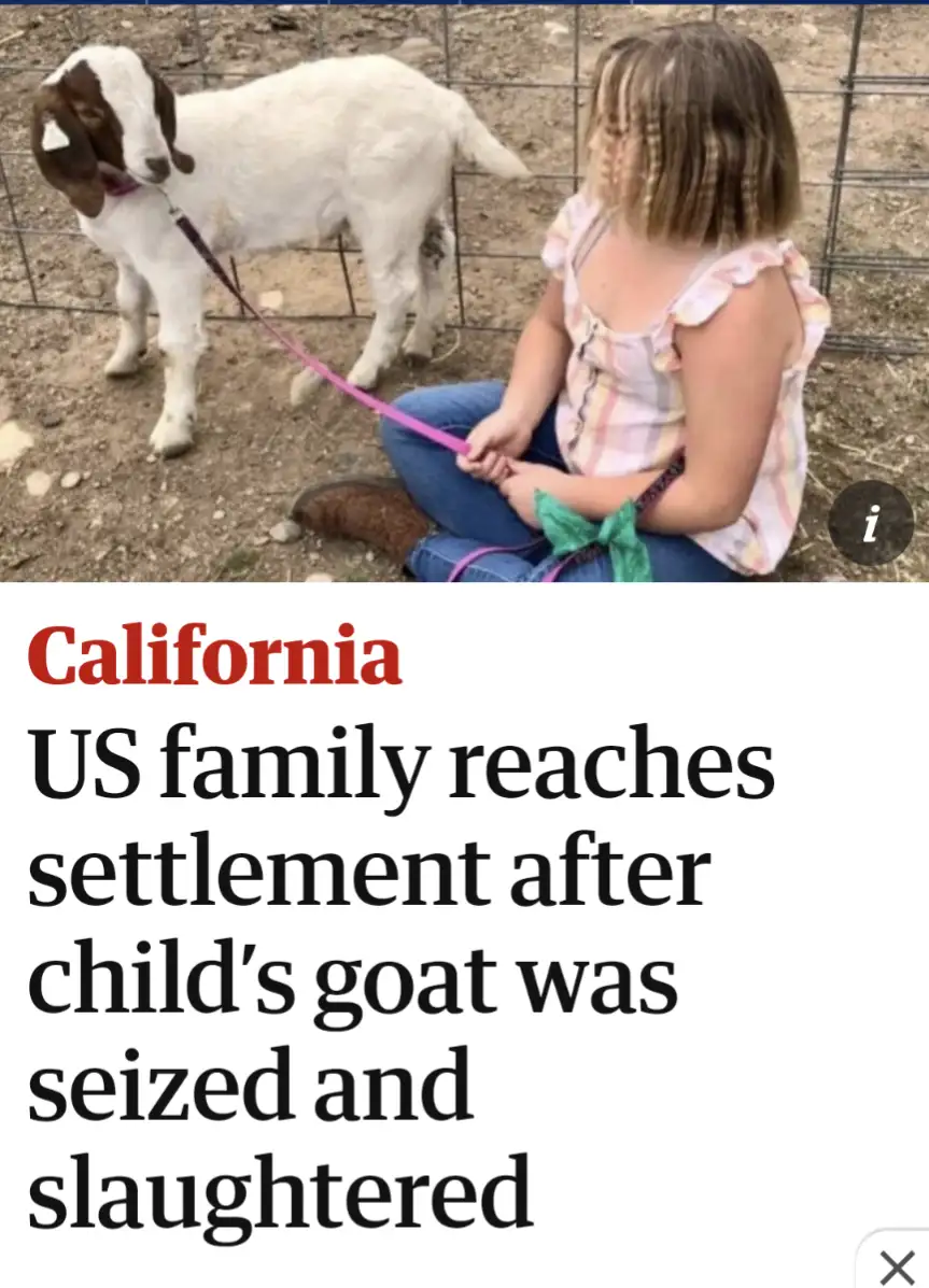 A young girl sits on the ground holding a pink leash attached to a white and brown goat standing nearby. The image is…