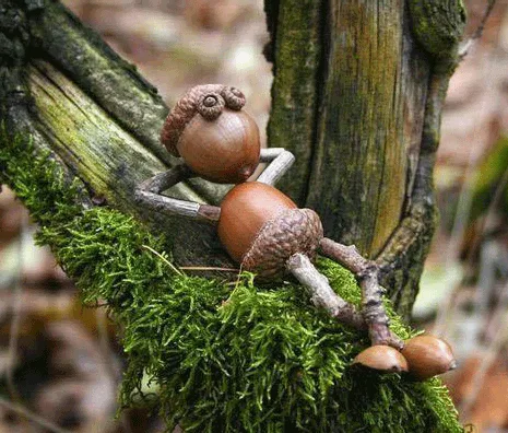 The image displays a six-panel grid of identical photos showing a whimsical acorn figurine crafted to look like a person…