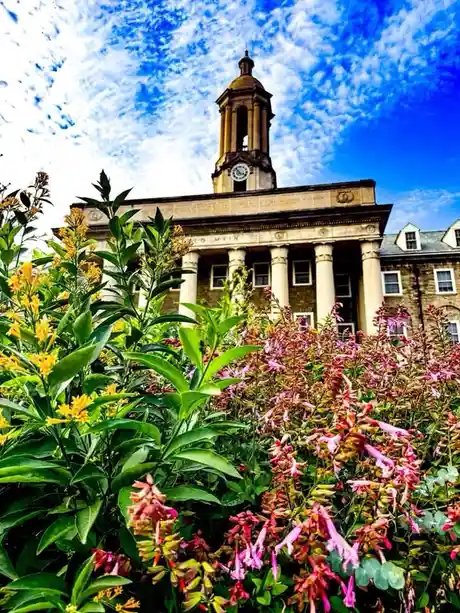 A vibrant, sunlit photo shows a grand classical building with a clock tower, partially obscured by lush greenery and…