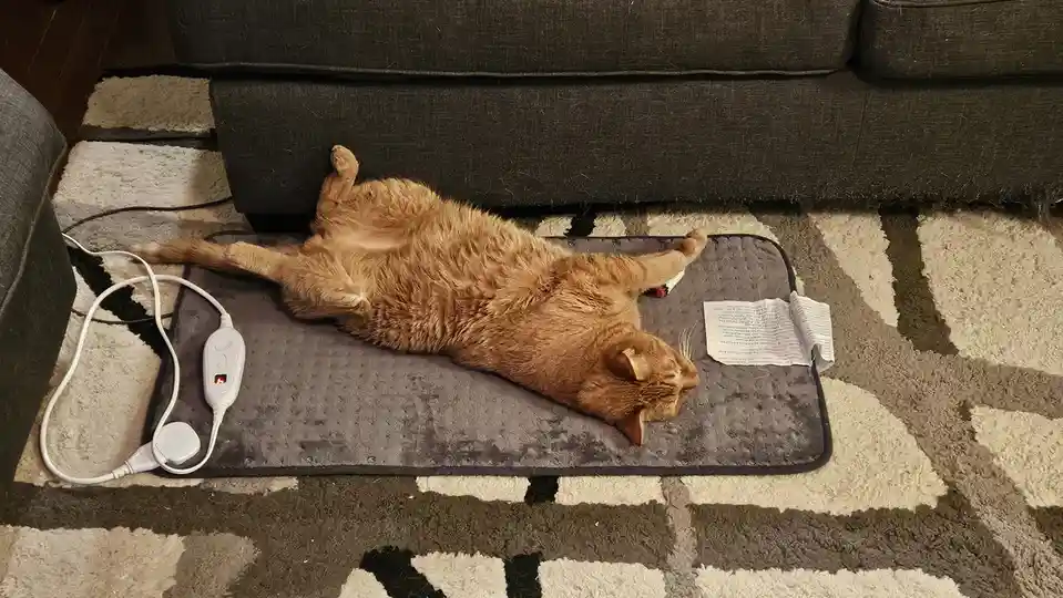 Keeping Your Furball Safe from Hot PC Winds: The Ultimate Hotpad Guide