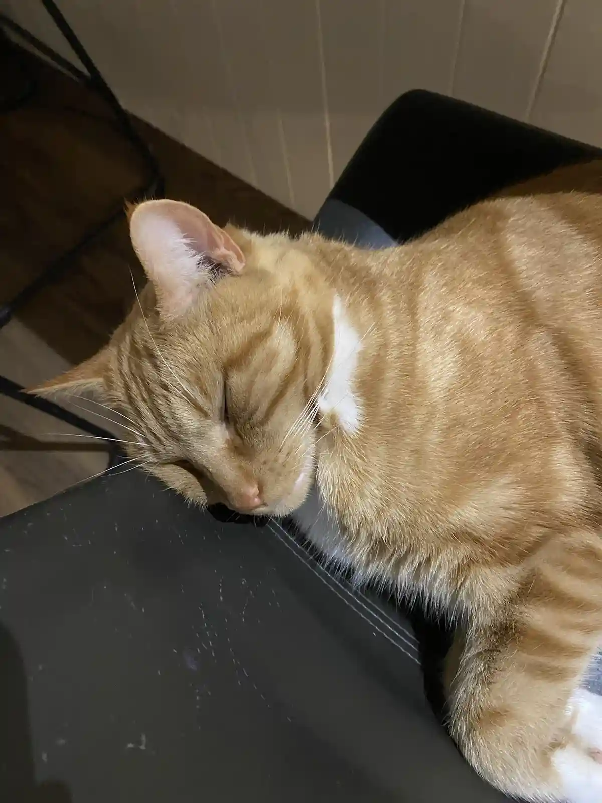An orange tabby cat with white markings is sleeping peacefully on a dark, slightly scratched surface, likely a chair or…