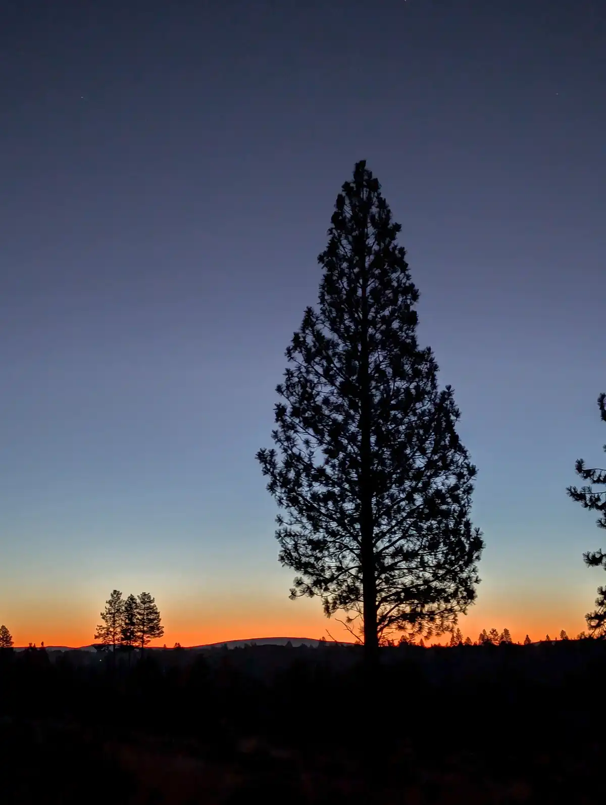Join the Adventure: Deschutes River Trail Marathon Awaits!