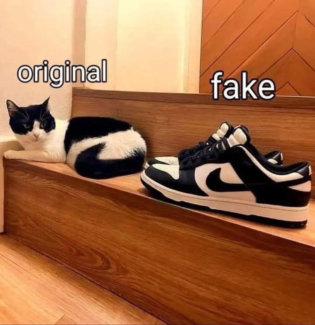 A black and white cat lounging on a wooden step is labeled 'original' while a pair of black and white Nike Dunk sneakers…