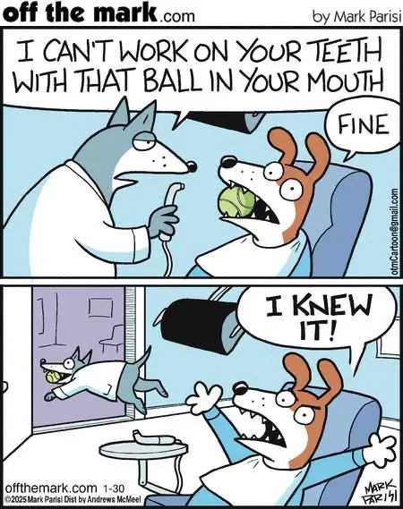 A two-panel comic strip shows a dog with a tennis ball in its mouth sitting in a dentist's chair. The dentist, a wolf in a…