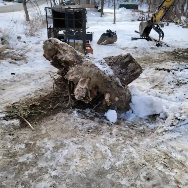 A large, uprooted tree stump lies in a snowy yard, surrounded by construction debris including a yellow excavator arm and…