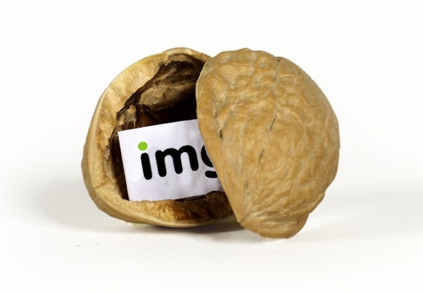 A cracked open walnut shell with a small white paper label inside showing the letters 'img' in black font, with a green dot…