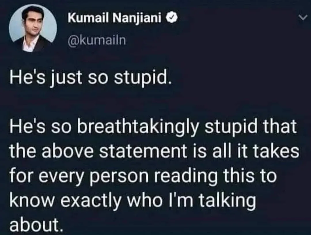 A screenshot of a tweet by Kumail Nanjiani showing his profile picture and handle, with overlaid text that reads 'He's just…