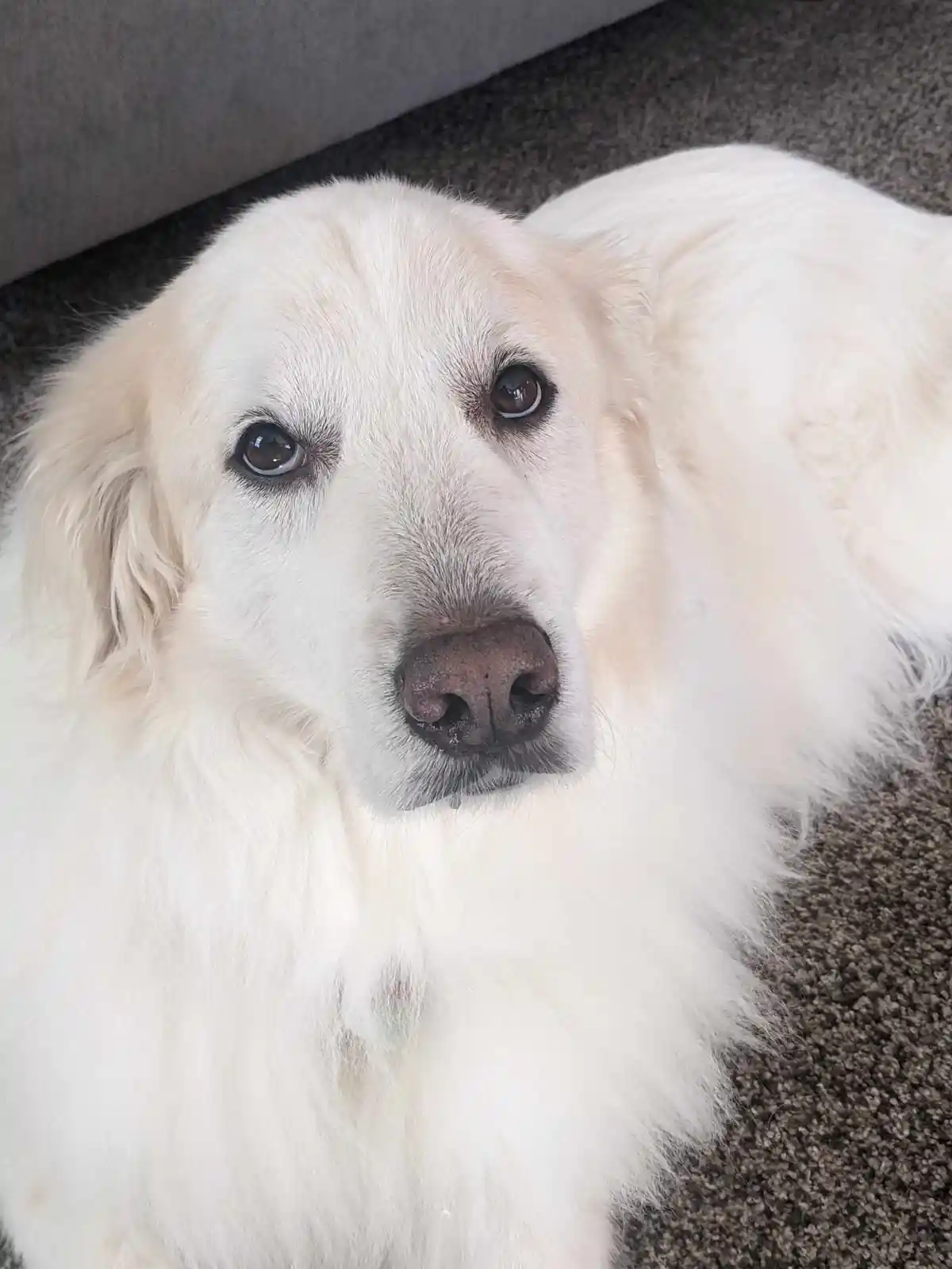 Winter Wonderland Chronicles: Day 818