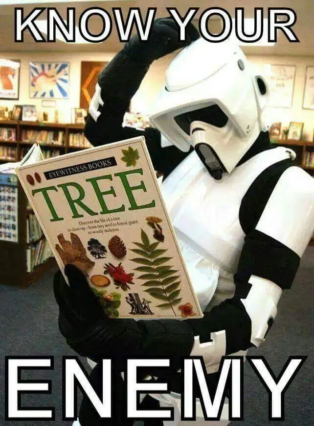 A person in a full white stormtrooper costume from Star Wars is standing in a library, holding an 'Eyewitness Books: Tree'…