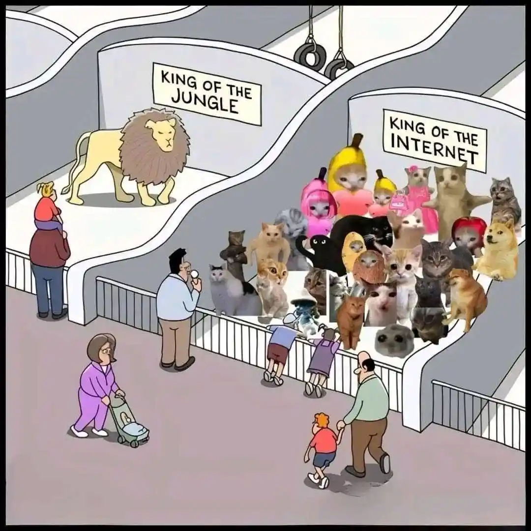 A cartoon zoo scene with a lion labeled 'KING OF THE JUNGLE' on one exhibit and a crowded exhibit labeled 'KING OF THE…