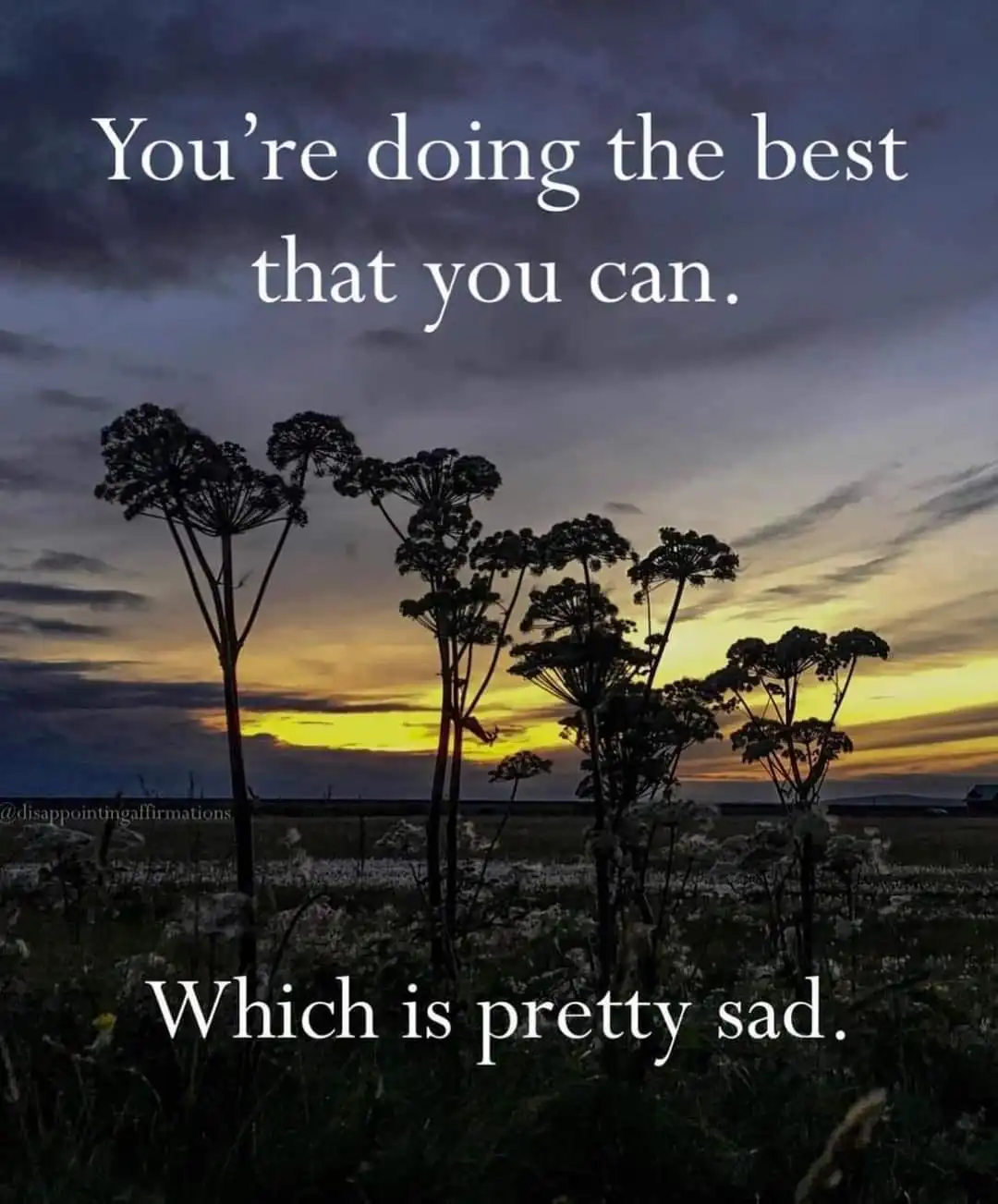 A serene sunset over a field with silhouetted plants, overlaid with the text 'You're doing the best that you can.' followed…