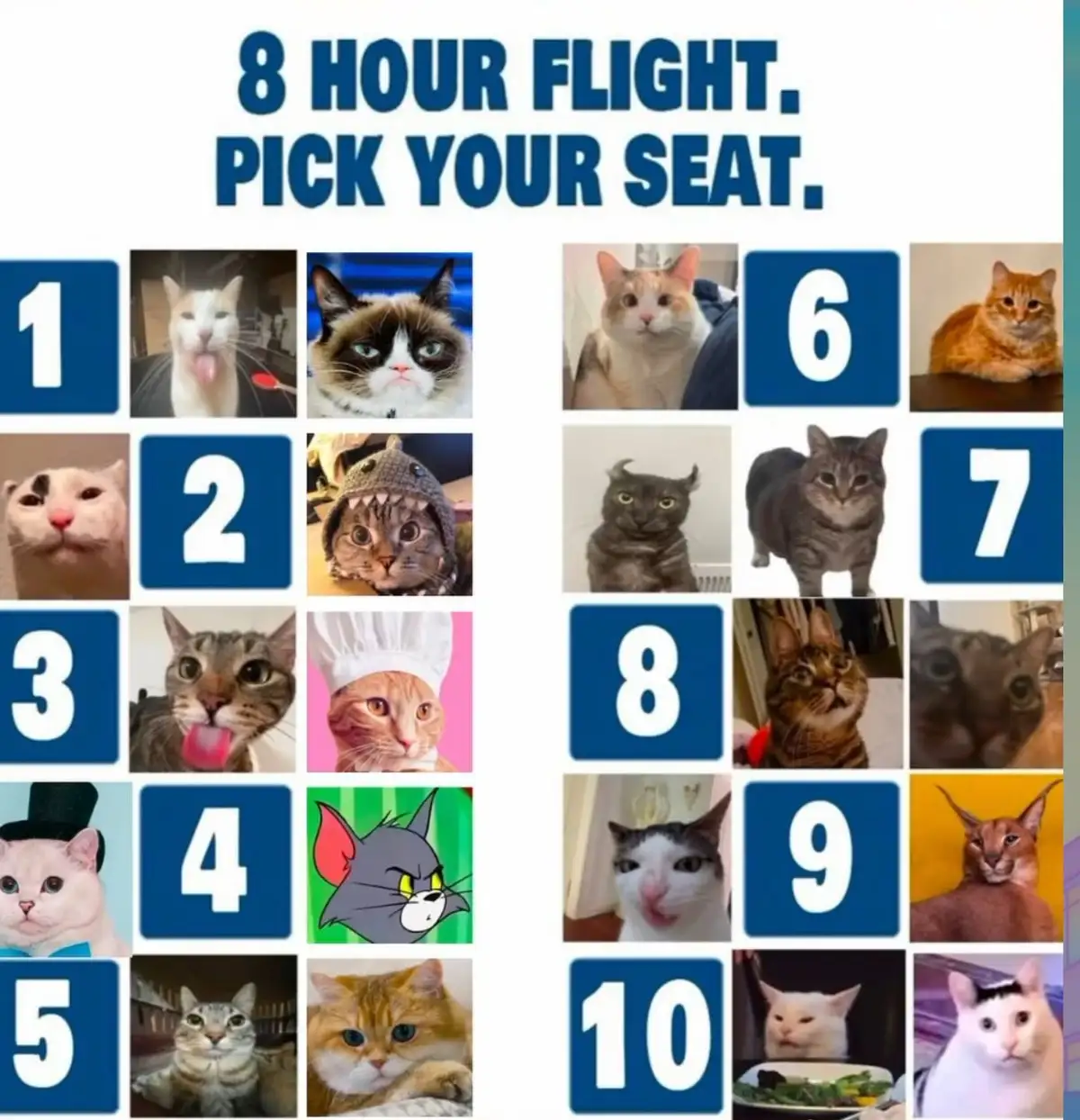 An image displays a grid of ten numbered seats, each paired with a different cat photo. Seat 1 shows a cat sticking its…