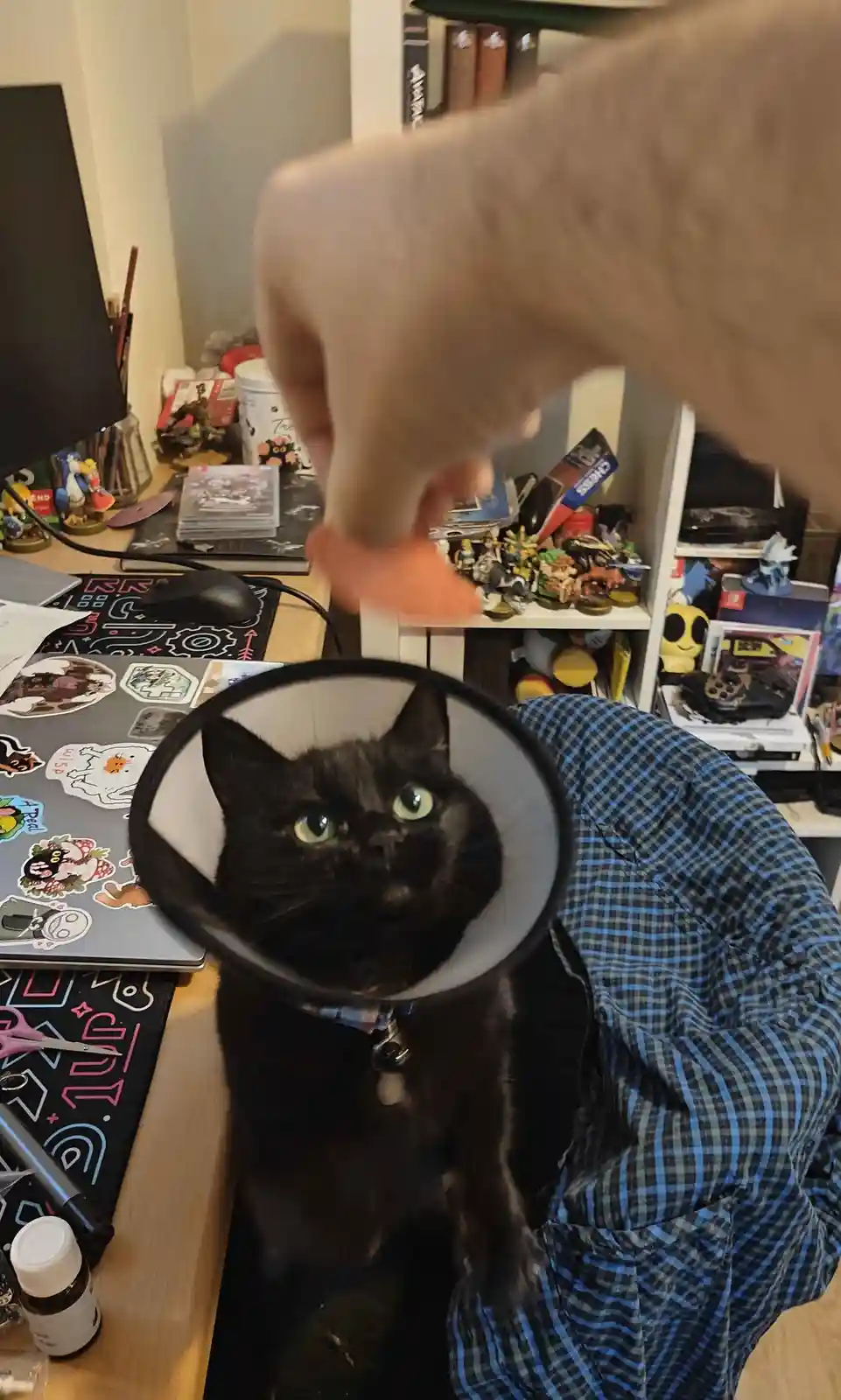 A black cat with green eyes wearing a cone collar sits on a cluttered desk, looking up at a human hand holding a small…