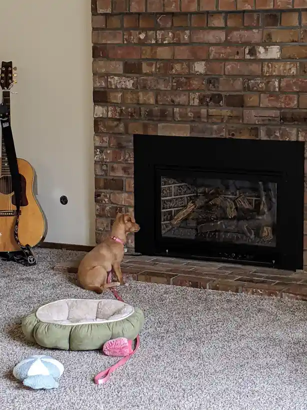 Summoning the Warmth of the Fireplace