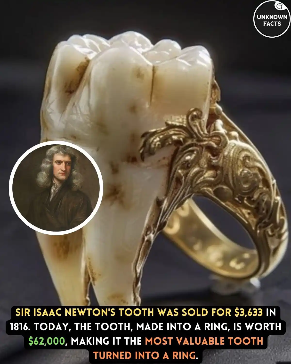 The Curious Case of Isaac Newton's Tooth