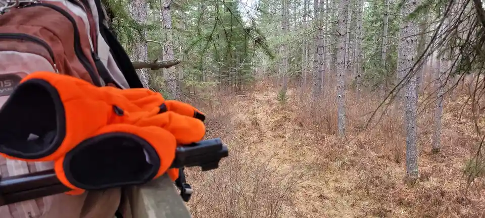 A person wearing bright orange hunting gloves and carrying a backpack is holding a shotgun, aiming into a forest clearing…