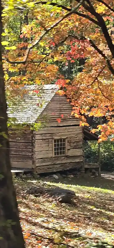 A rustic wooden cabin nestled in a forest during autumn, surrounded by trees with vibrant orange and yellow leaves. The…