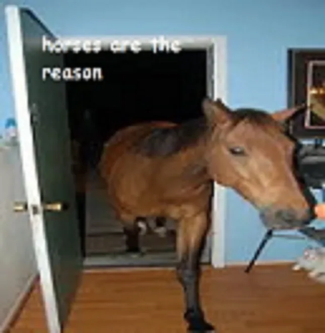 A brown horse stands partially inside a doorway in a home, its head and front legs visible in a dimly lit room, with white…