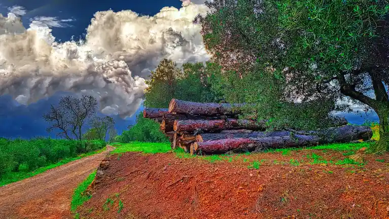 A vibrant, heavily saturated landscape photo shows a dirt road curving past a large pile of cut logs under a dramatic…
