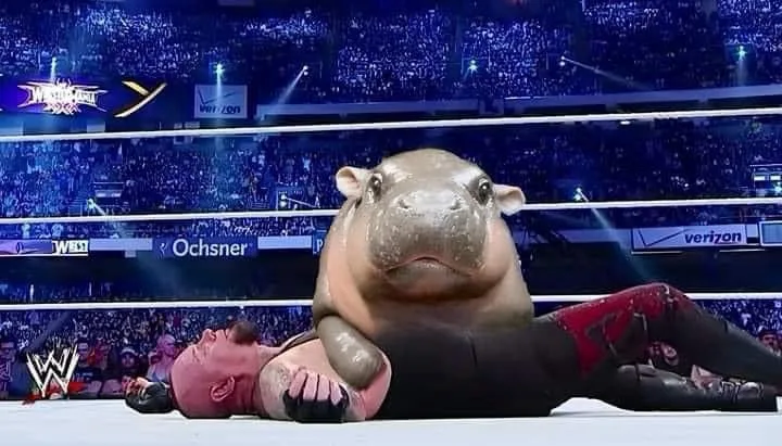 A large, realistic-looking hippopotamus is shown sitting on top of a wrestler lying defeated on the mat inside a WWE…