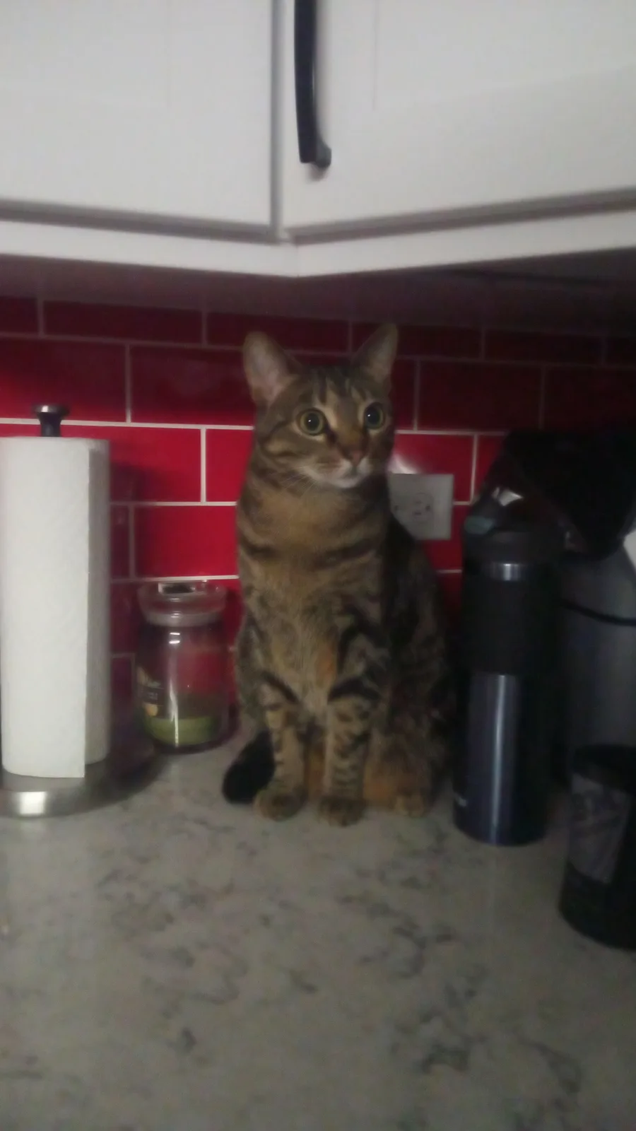 The Joys and Trials of Kitchen Duty