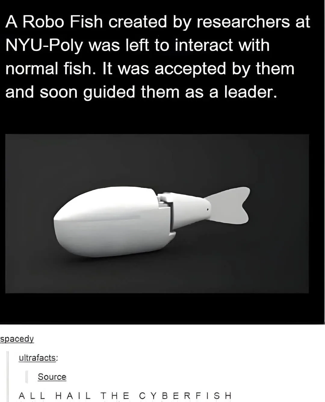 The image displays a white, robotic fish with a sleek, segmented body and a simple tail fin, set against a dark gray…