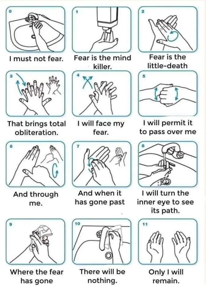 A grid of 12 panels shows hands performing various soap-and-water handwashing motions, each paired with a line from the Star…