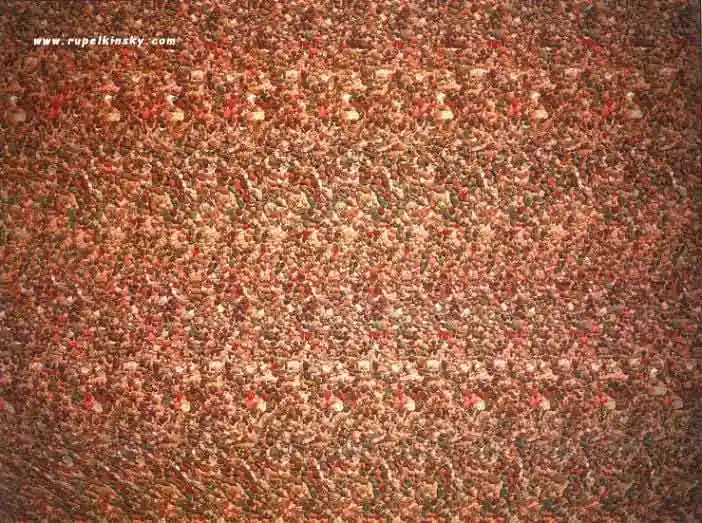 The image shows a close-up of a textured, speckled surface resembling a carpet or fabric with a mix of red, brown, and beige…