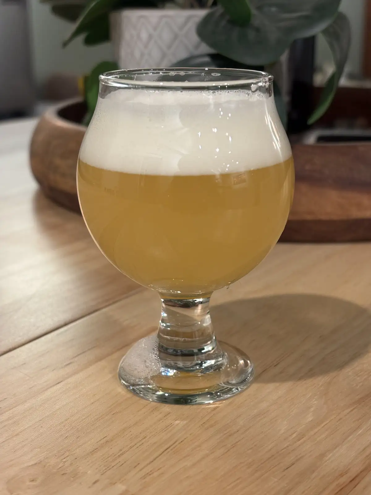 A close-up photo shows a tulip-shaped beer glass filled with golden beer and a thick white head, sitting on a light wooden…