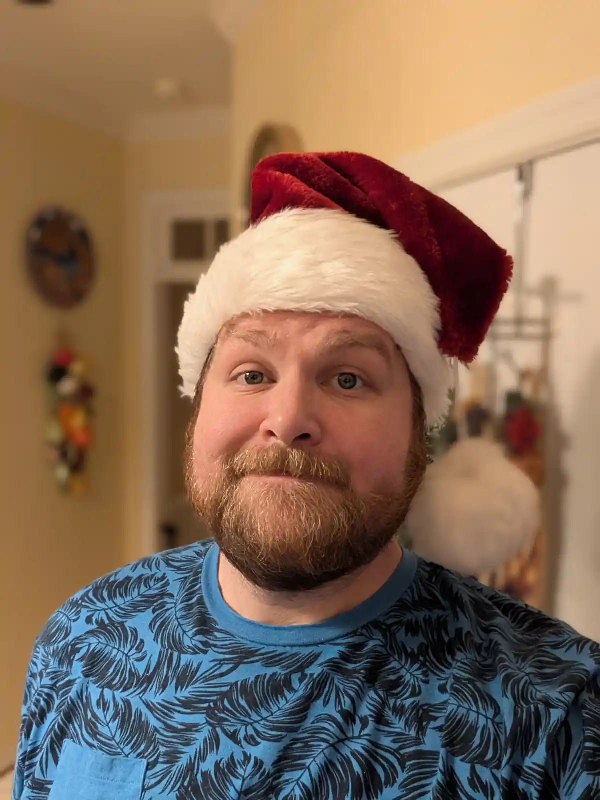 A man with a reddish-brown beard and blue shirt with black leaf patterns wears a red and white Santa hat indoors. He looks…