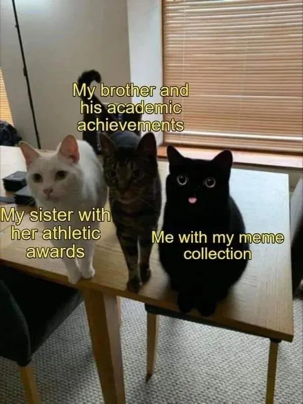 Three cats sit on a wooden table, each labeled with a caption describing a sibling's accomplishments: the white cat is 'My…